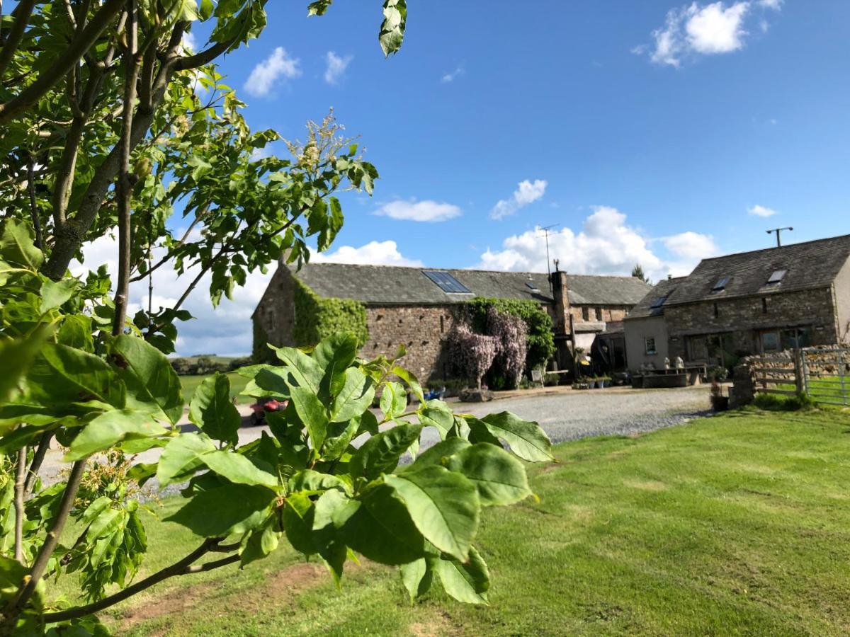 Crake Trees Manor Acomodação com café da manhã Crosby Ravensworth Exterior foto